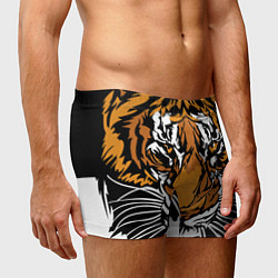 Трусы-боксеры мужские Взгляд хозяина джунглей, цвет: 3D-принт — фото 2