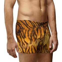 Трусы-боксеры мужские Шкура тигра 2022, цвет: 3D-принт — фото 2
