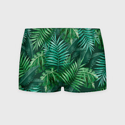 Мужские трусы Tropical plants pattern