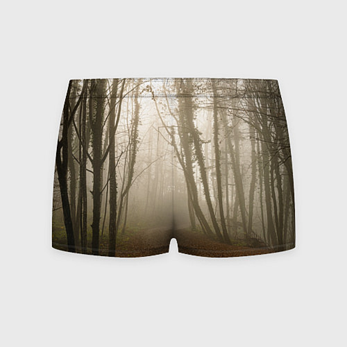 Мужские трусы Туманный лес на восходе / 3D-принт – фото 2