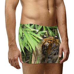 Трусы-боксеры мужские Матёрый тигр в зарослях бамбука, цвет: 3D-принт — фото 2