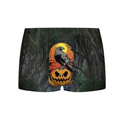 Трусы-боксеры мужские Ворон, сидящий на тыкве - Halloween, цвет: 3D-принт