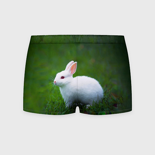 Мужские трусы Кролик на фоне травы / 3D-принт – фото 2