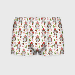 Мужские трусы Рождественские гномы с подарками