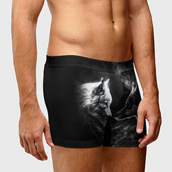 Трусы-боксеры мужские Пара волков - белый и черный, цвет: 3D-принт — фото 2