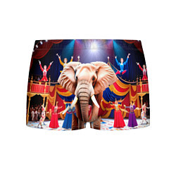 Трусы-боксеры мужские Слон с цирке, цвет: 3D-принт