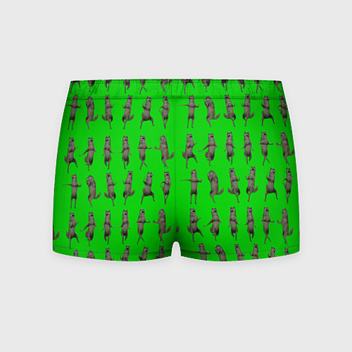 Мужские трусы Ихвильнихт волк / 3D-принт – фото 2