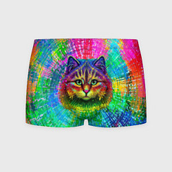 Трусы-боксеры мужские Цветной кот, цвет: 3D-принт