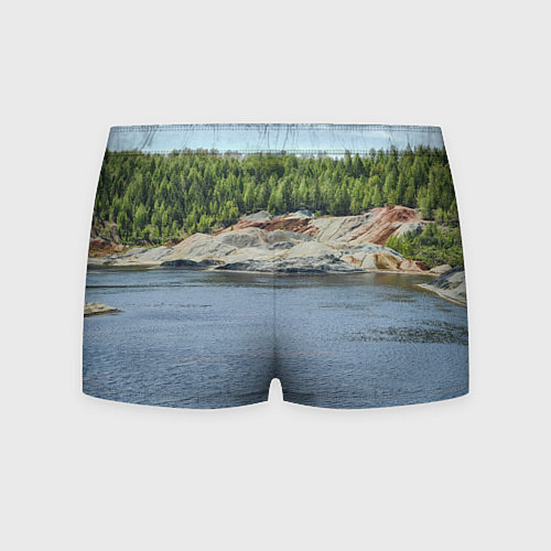 Мужские трусы Троицко-байновское месторождение глины / 3D-принт – фото 2