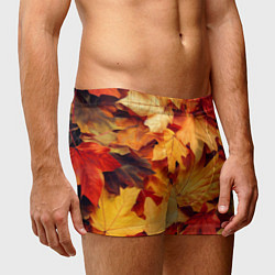 Трусы-боксеры мужские Осенние кленовые листья, цвет: 3D-принт — фото 2