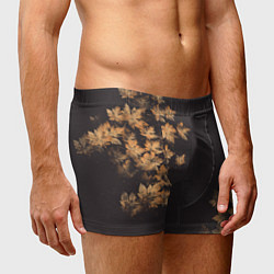 Трусы-боксеры мужские Осенние листья эффект, цвет: 3D-принт — фото 2