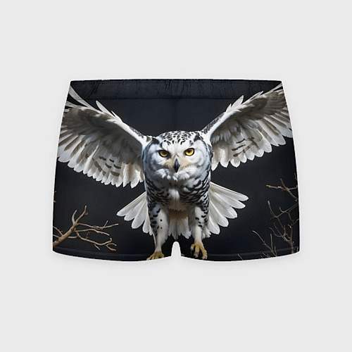 Мужские трусы Белая сова на темном фоне / 3D-принт – фото 2