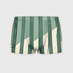 Мужские трусы Зеленые полосы
