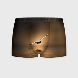 Мужские трусы Летящая птица