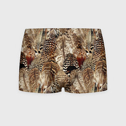 Трусы-боксеры мужские Разные перья птиц - коричнево-бежевый паттерн, цвет: 3D-принт