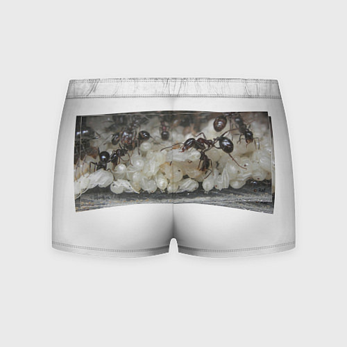 Мужские трусы Рис сейчас и раньше мем / 3D-принт – фото 2