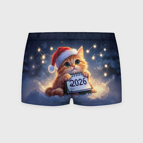 Мужские трусы Кот который ждет новый год / 3D-принт – фото 2
