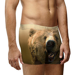 Трусы-боксеры мужские Взгляд медведя, цвет: 3D-принт — фото 2