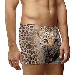 Трусы-боксеры мужские Взгляд леопарда, цвет: 3D-принт — фото 2