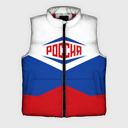 Мужской жилет Россия 2016, цвет: 3D-красный