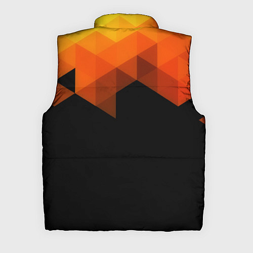 Мужской жилет Trianse / 3D-Черный – фото 2