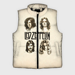 Мужской жилет Led Zeppelin Guys, цвет: 3D-черный