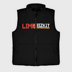 Мужской жилет Limp Bizkit, цвет: 3D-черный