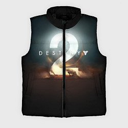 Мужской жилет Destiny 2, цвет: 3D-черный