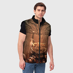 Мужской жилет Довакин, цвет: 3D-черный — фото 2