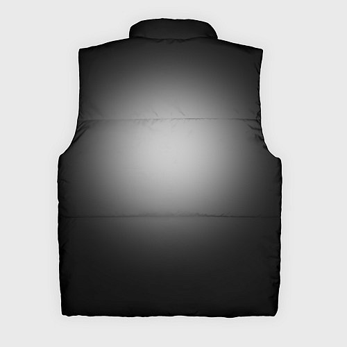 Мужской жилет SOAD: Steal this album / 3D-Черный – фото 2