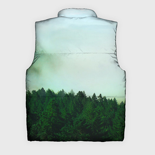 Мужской жилет I'm from Siberia / 3D-Черный – фото 2