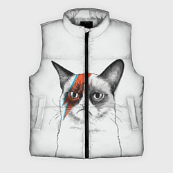 Мужской жилет David Bowie: Grumpy cat, цвет: 3D-светло-серый