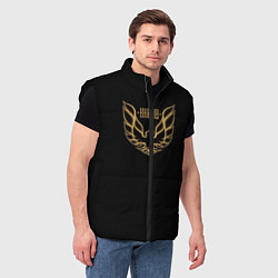 Мужской жилет Khabib: Gold Eagle, цвет: 3D-черный — фото 2