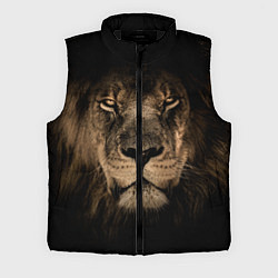 Мужской жилет Львиный взгляд, цвет: 3D-черный