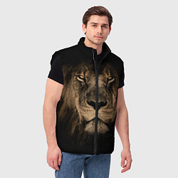 Мужской жилет Львиный взгляд, цвет: 3D-черный — фото 2