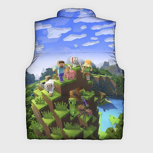 Мужской жилет Майнкрафт: Саша / 3D-Черный – фото 2