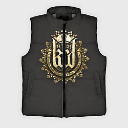 Мужской жилет Kingdom Come: Deliverance Logo, цвет: 3D-светло-серый