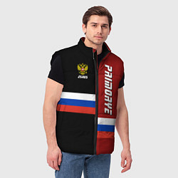 Мужской жилет Primorye, Russia, цвет: 3D-черный — фото 2
