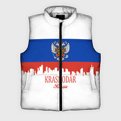 Мужской жилет Krasnodar, Russia