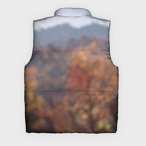 Мужской жилет Fallout 76 / 3D-Светло-серый – фото 2