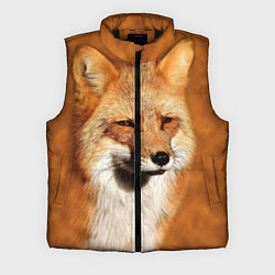 Мужской жилет Хитрая лисичка, цвет: 3D-черный