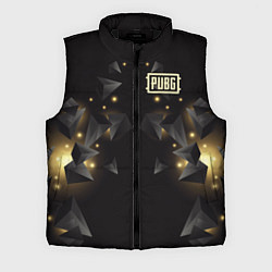 Мужской жилет PUBG: Night Fireflies