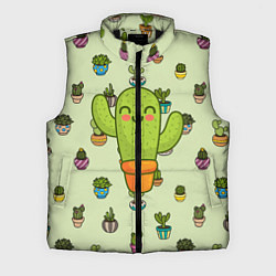 Мужской жилет Веселый кактус, цвет: 3D-черный
