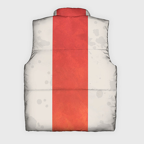 Мужской жилет Apex Legends: Pathfinder / 3D-Черный – фото 2