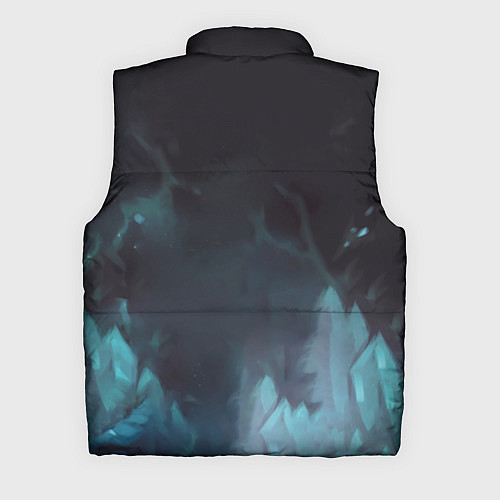 Мужской жилет Лёд / 3D-Черный – фото 2