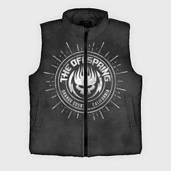 Мужской жилет The Offspring