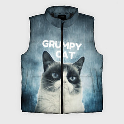 Мужской жилет Grumpy Cat, цвет: 3D-черный