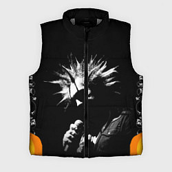 Мужской жилет Король и Шут Анархия спина