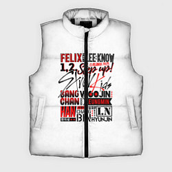 Мужской жилет Stray Kids, цвет: 3D-черный