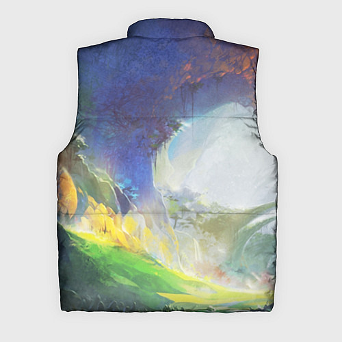 Мужской жилет Zoomorph PW / 3D-Черный – фото 2